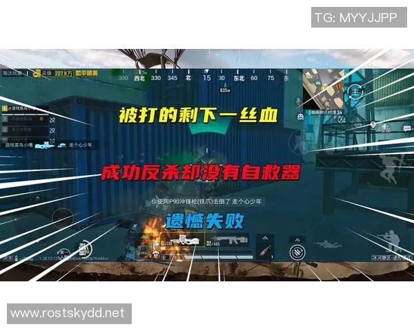 和平精英评论：FPX的盯防得失