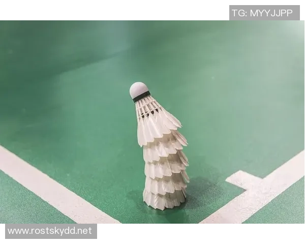 羽毛球巨献:探秘上海羽毛球队的灵活性