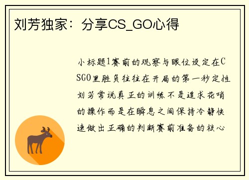 刘芳独家：分享CS_GO心得