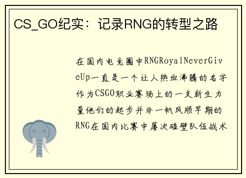 CS_GO纪实：记录RNG的转型之路